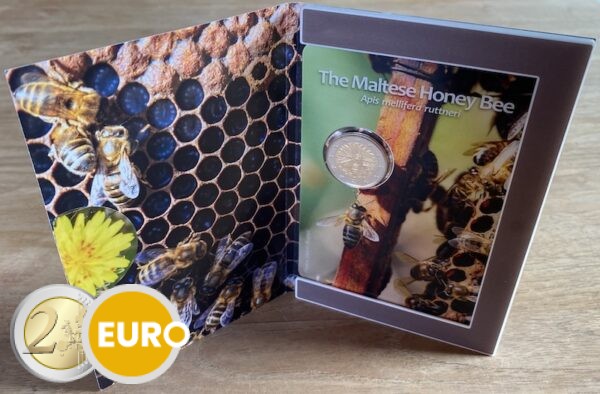 2 Euro Malta 2024 - die maltesische Honigbiene Stgl. Coincard