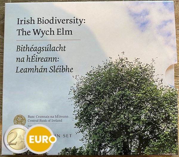 Euro set BU FDC Ireland 2025 The Wych Elm